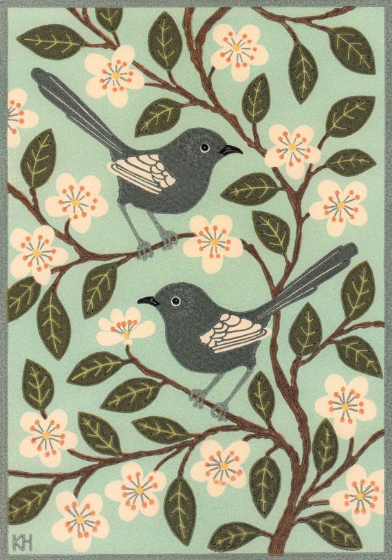 Kate-Hudson-White-winged–Wrens Kate-Hudson-White-winged--Wrens