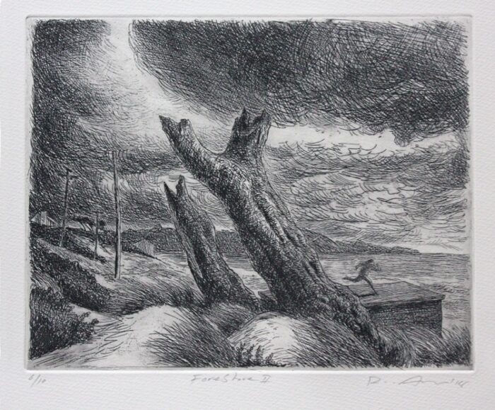 Rick Amor Foreshore II, 2018 Etching 222x290 $4,000