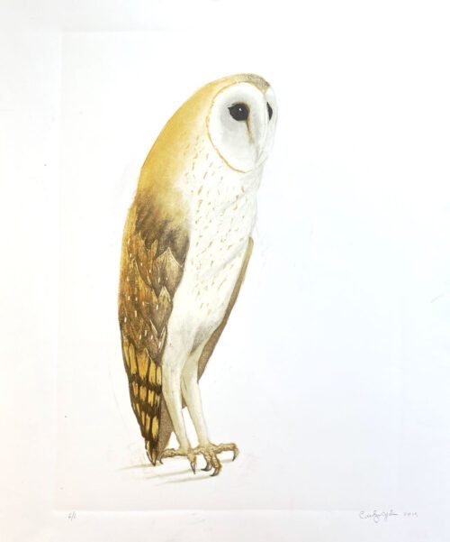 Carolyn Graham Barn Owl 48x37 Lino $685F Ed 6