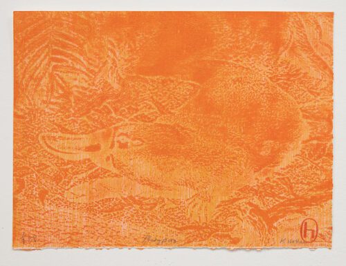 Katherine Hattam Platypus AP 1-1 oil based digitally inscribed print Adrian Kellett 29 x 39 cm $390 unframed