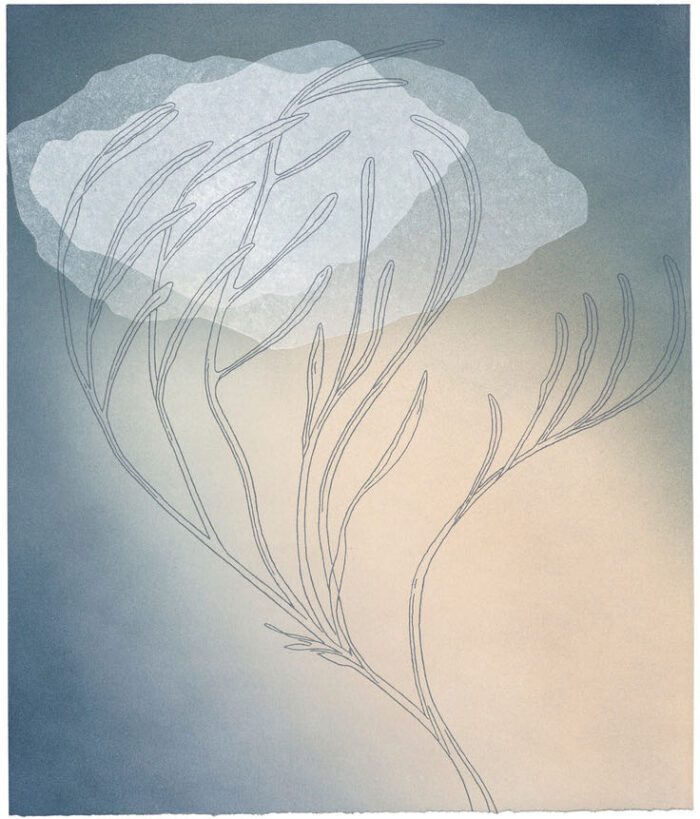 Melissa Smith Lake Whispers #4 2021 intaglio collagraph and stencil 45x38cm $830