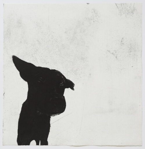 Deborah Williams Survey etching engraving, roulette and drypoint intaglio 56.5 x 55cm edition 20 $1750 uf.jpg