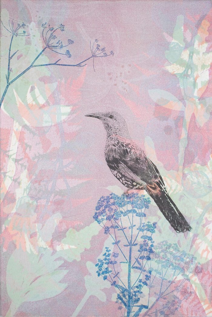 Trudy Rice The Wattlebird visiting at Dusk Multiplate Solar Etchings and Monotype Unique State 2023 $550uf