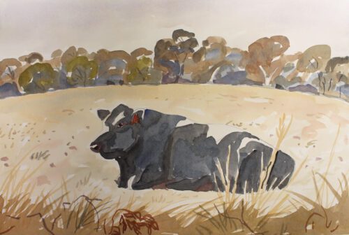 Mark Dober Cow, at rest, watercolour on paper, 38 x 56, 2023, $1800