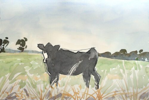 Mark Dober Cow drawing, charcoal and watercolour, 38 x 56, 2023, $1800