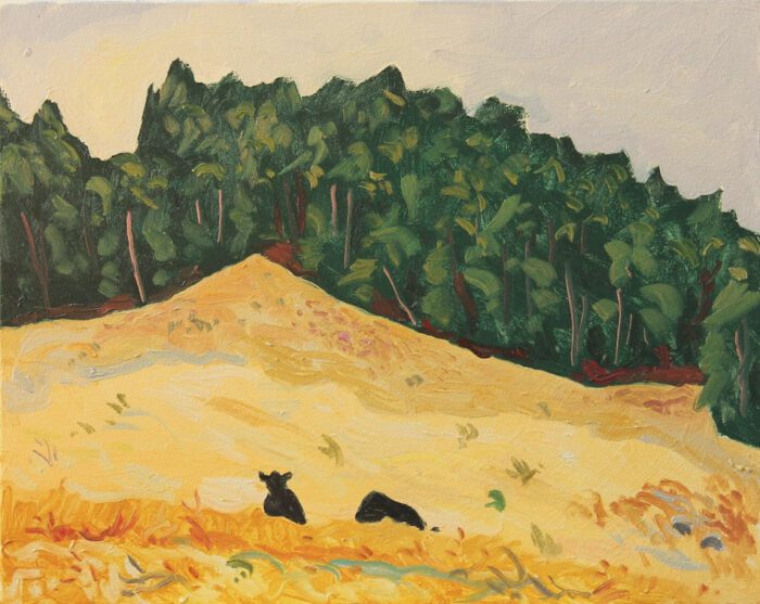 Mark Dober Two cows (Mt Franklin), oil on canvas, 40 x 50, 2023, $3450