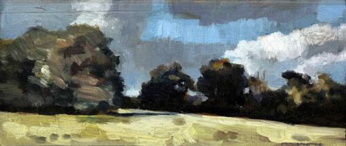 David Moore Castlemaine Hillside 15 x 35cm oil on panel $2,200f