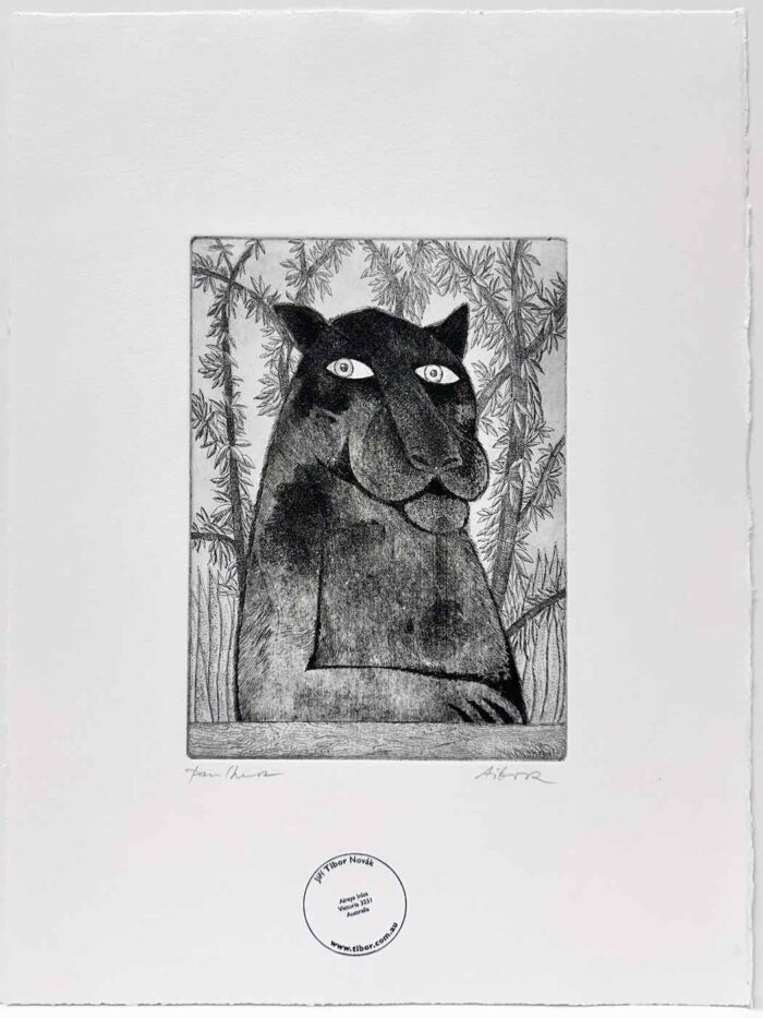 Jiri Tibor Novak Visitor Panther unnumbered etching 20 x 14.5cm image