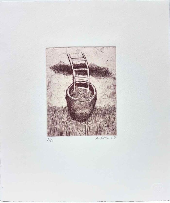 Jiri Tibor Novak ladder plant etching 13.5 x 10.5cm ed 2/30 uf $450