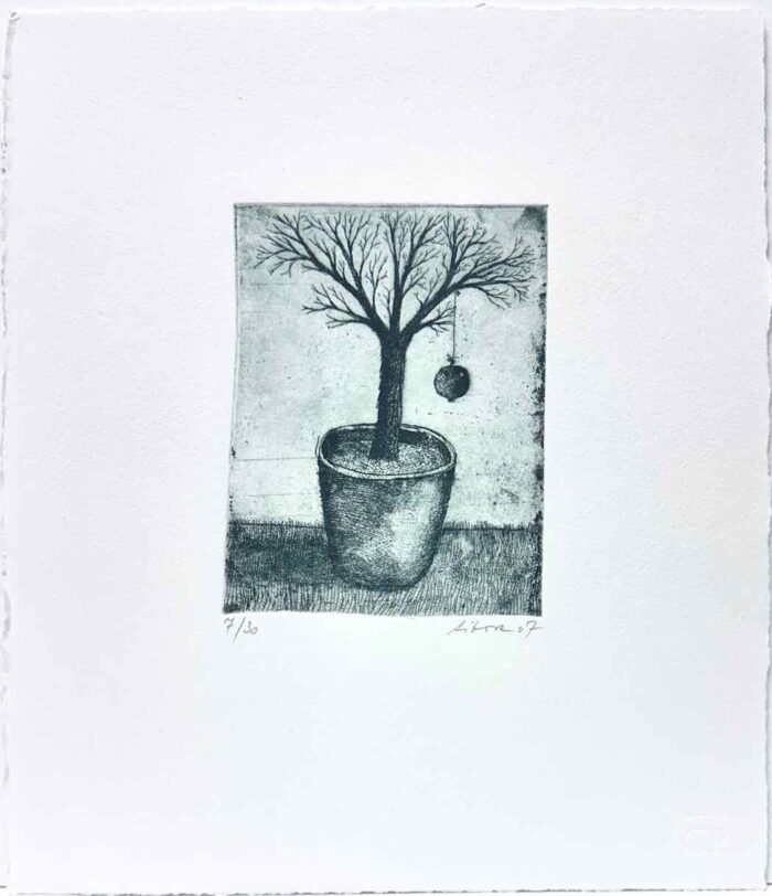 Jiri Tibor Novak pomegranate etching 14.5 x 10.5cm ed 7/30 uf $450