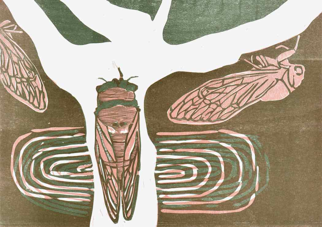 Peloponnese Collection 3, 2023, 69 x 49cm woodcut 69 x 49cm $900 f