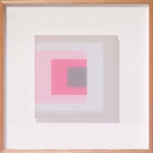 Clayton Tremlett An exploration of the Square using the Colours of a Galah #1 $850 framed