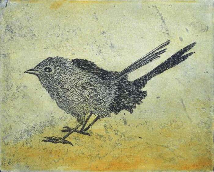 Kati Thamo Shadow Bird multiplate etching 12 x 14.8 cm 2024 ed. no. 1:25 $350