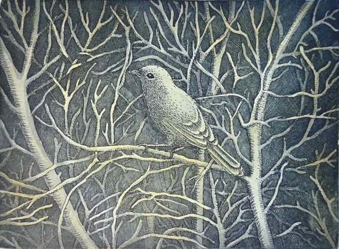 Kati Thamo The Bird on the Branch multiplate etching 16 x 20 cm 2024 ed. of 14 $400